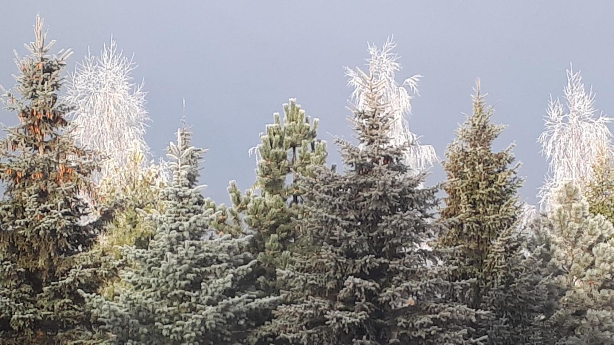 Pokoje Apartamenty Pod Limba Zakopane Buitenkant foto