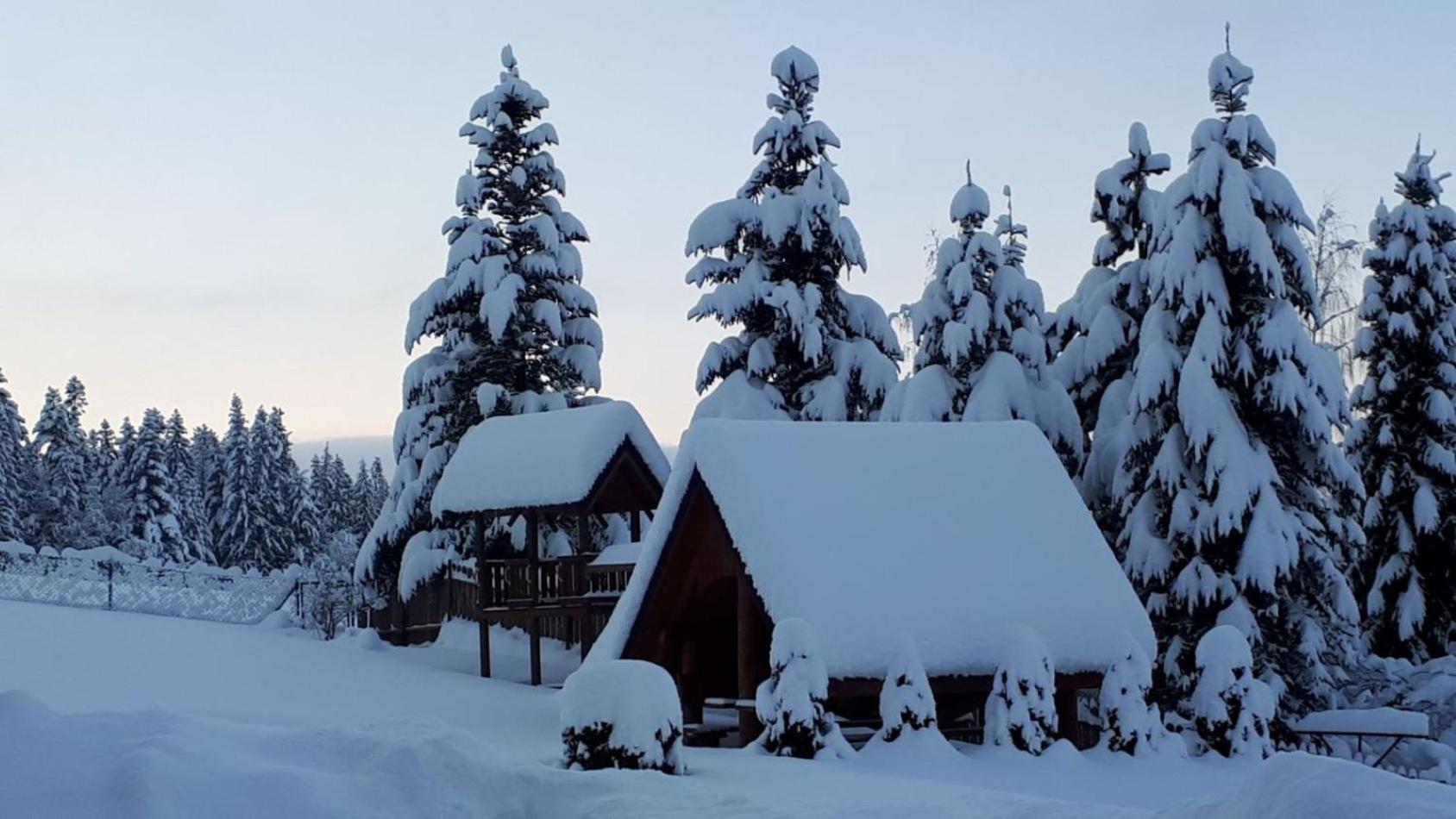 Pokoje Apartamenty Pod Limba Zakopane Buitenkant foto