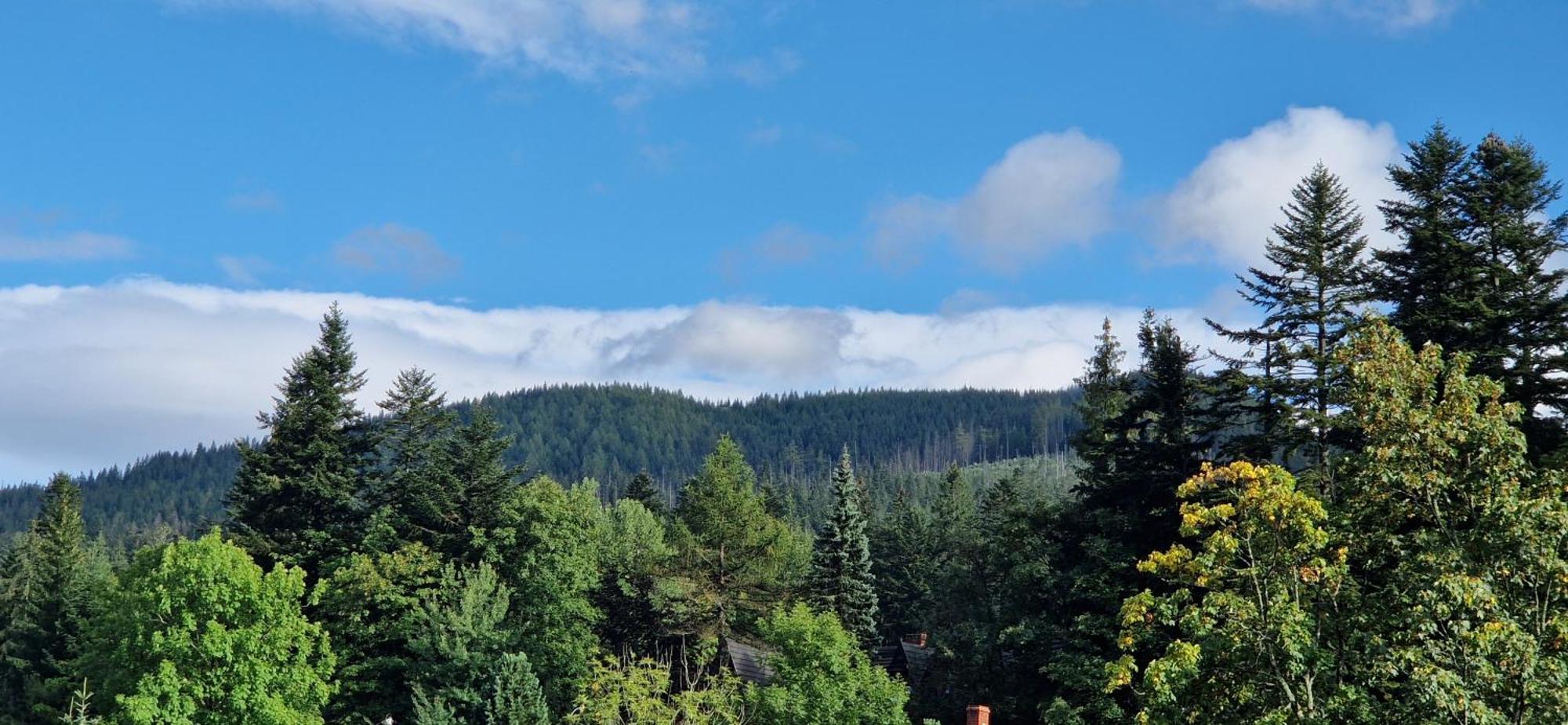 Pokoje Apartamenty Pod Limba Zakopane Buitenkant foto